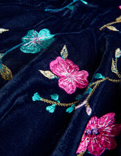 Vera Embroidered Velvet Dress, Blue (NAVY), large